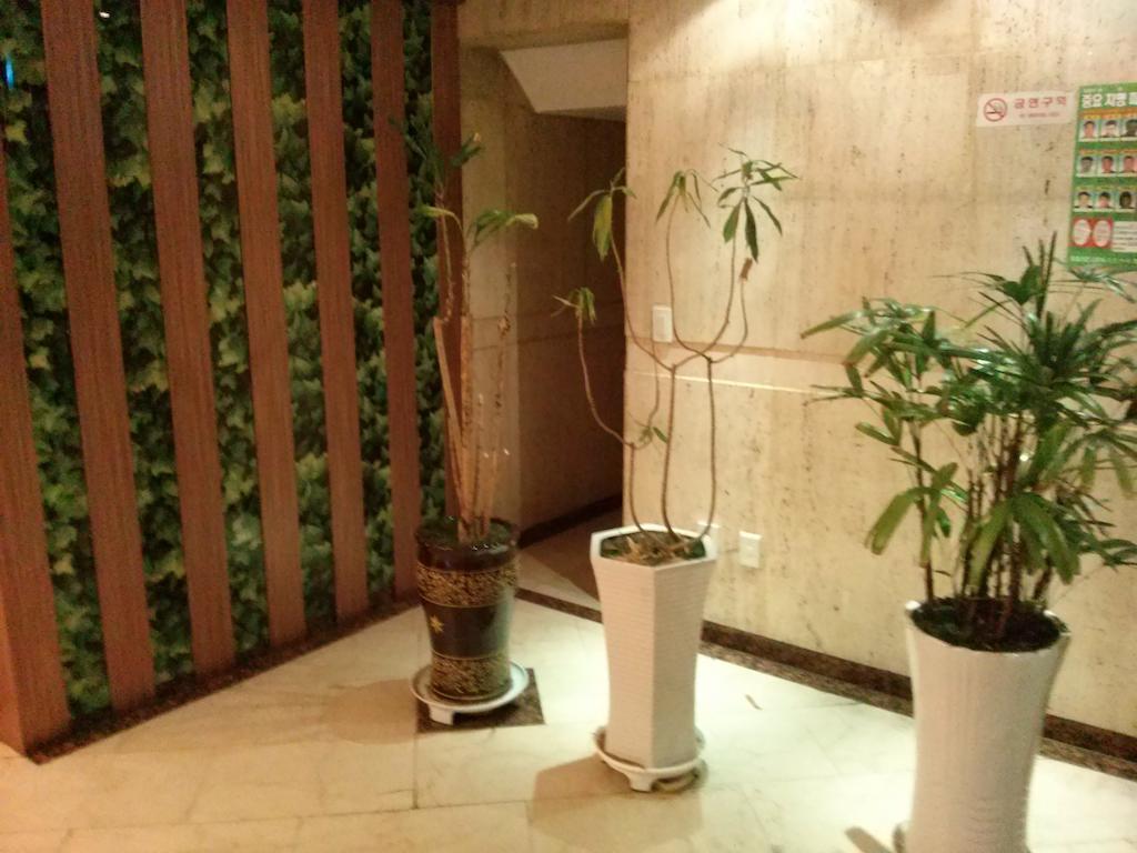 Apsan Business Hotel 大邱 エクステリア 写真